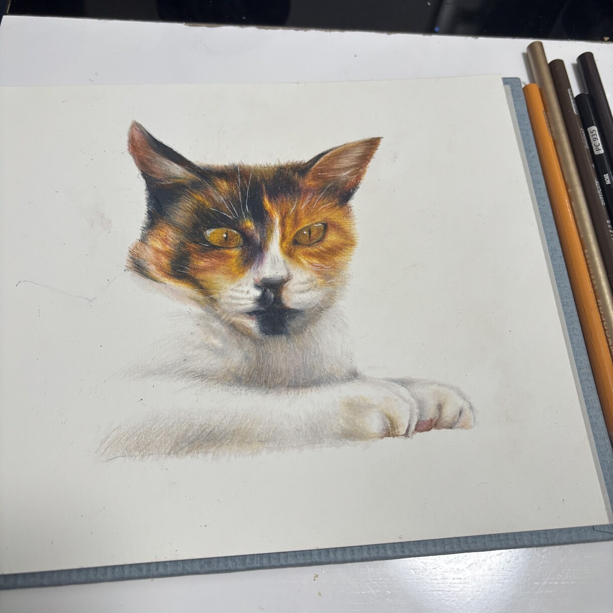 ペットの似顔絵を描きます 色鉛筆画またはボールペンの点描画で写実的なペットの似顔絵作成 イメージ2