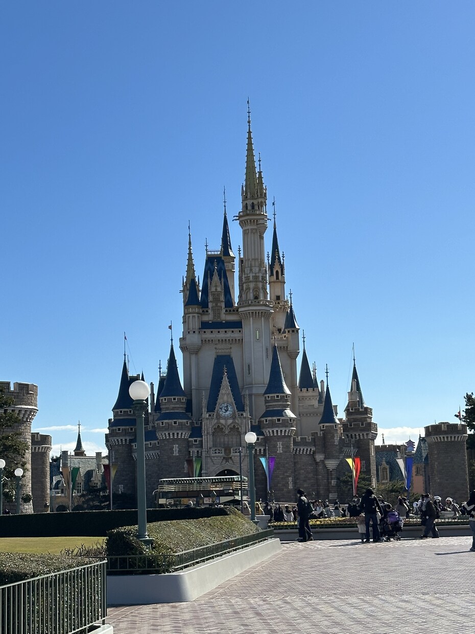 ニーズに沿ったディズニーのプランニングをします キャスト現場経験を活かした安心のプランをご提案 イメージ3