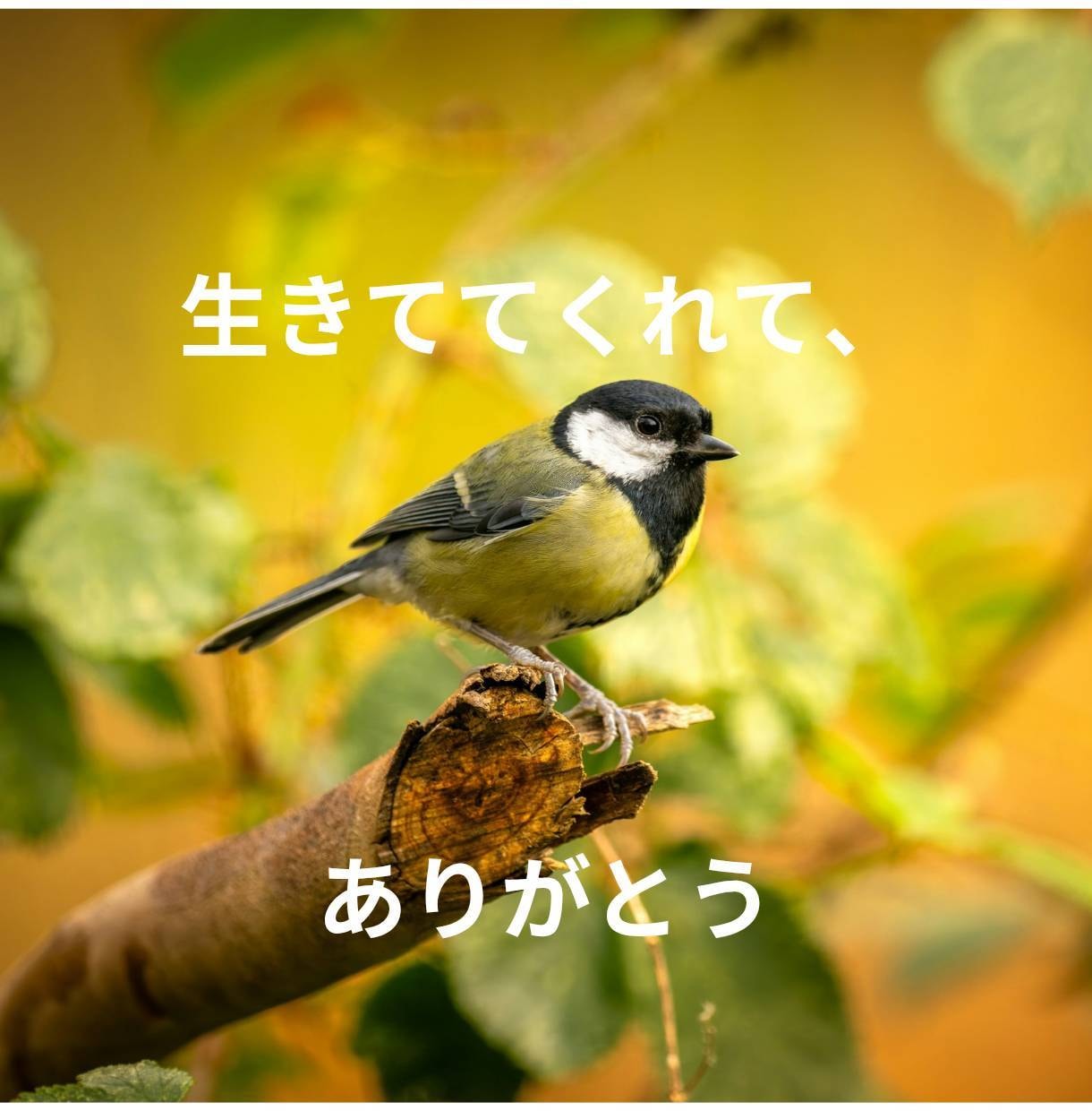 ひきこもり・生きづらさを抱えるあなたのお話聴きます 元当事者が聴くチャット相談【1日チャット・メッセージ無制限】 イメージ3