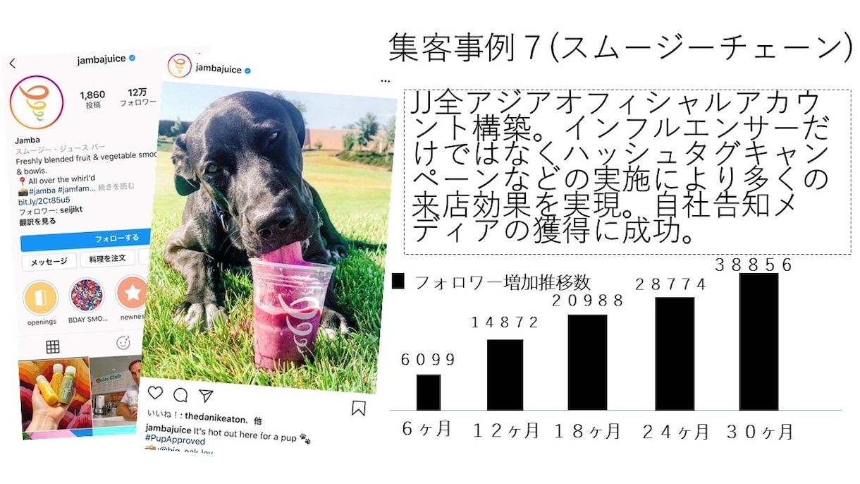 Instagram初心者向けの運用方法伝授します 自身が半年で1万人までフォロワーを増やした方法をお伝えします イメージ5