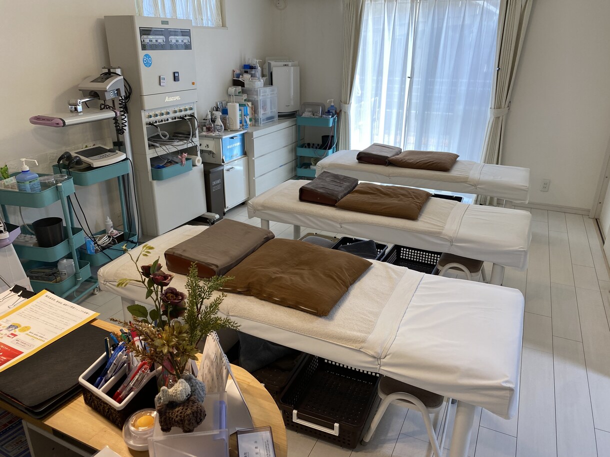 鍼灸を用いた治療、美容の仕方を教えます これから鍼灸師として働くのに必要な知識を教えます。 イメージ1