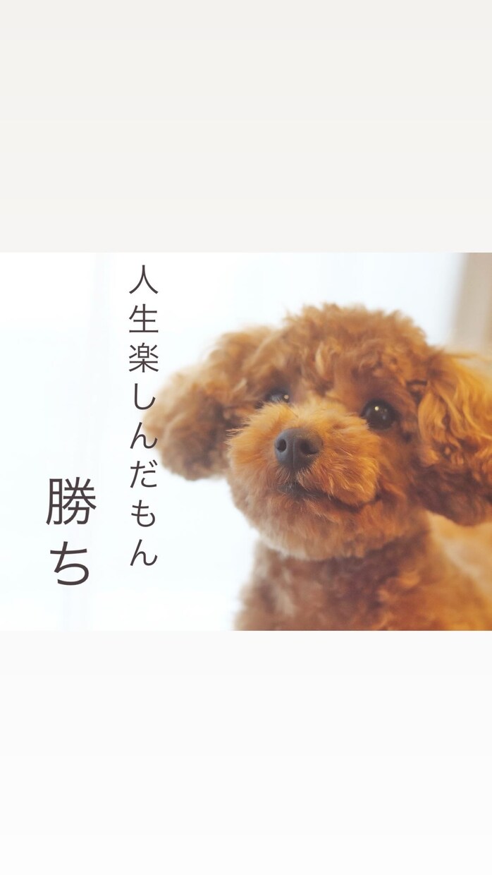 2人で何でもお話し聞きます 気軽にどうぞ！ゆかいな2人がお話しします♡ イメージ1