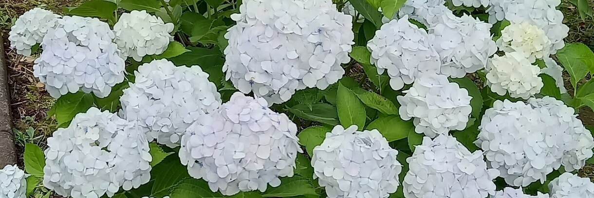 毎日がつまらない。そんな時、話し相手になります どんな話題でもOK.57歳のおじ様と話してみませんか？ イメージ4