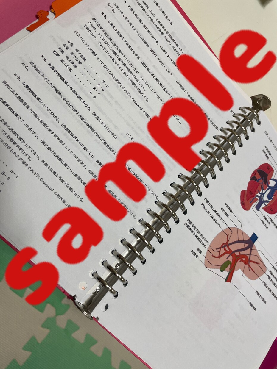 消化器外科手術手順書お渡しします 自己学習サポート！外科手術の理科深まる！ イメージ4