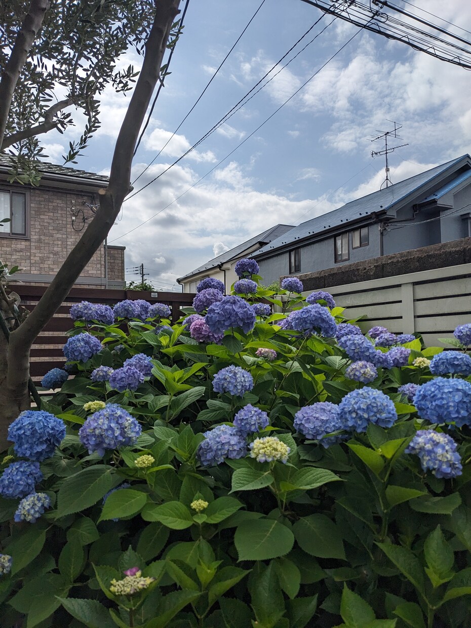 とにかく、お話、伺います 心に余裕がない、モヤモヤしているお話、聞かせてください イメージ3