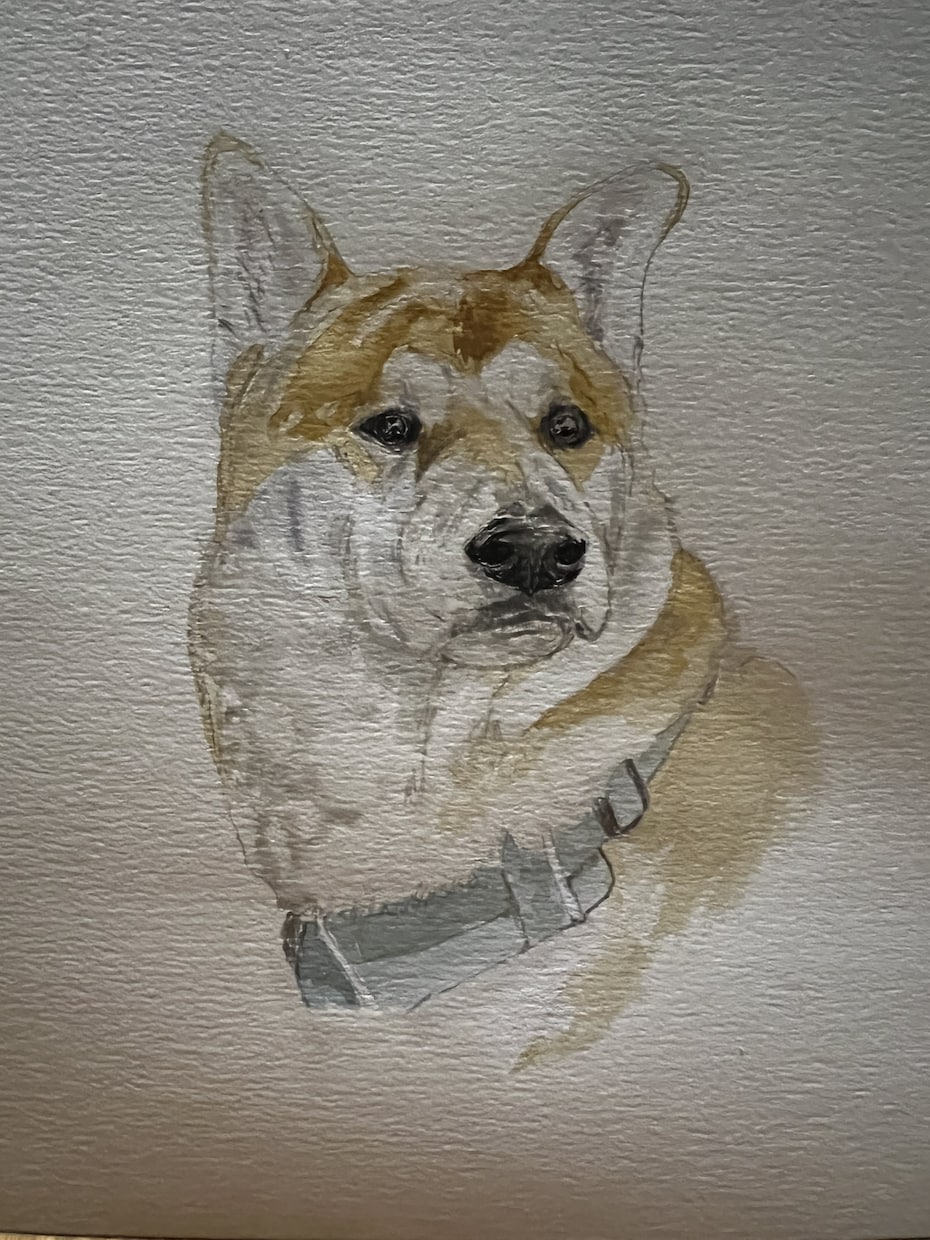 犬や猫の絵を描きます 画像からえんぴつや顔彩で絵を描きます。 イメージ9