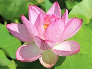 愚痴でも悩みでも。ゆるい関西弁で喋り&聞きます 知らない人間だからこそ話せる事もあると思う。 イメージ1