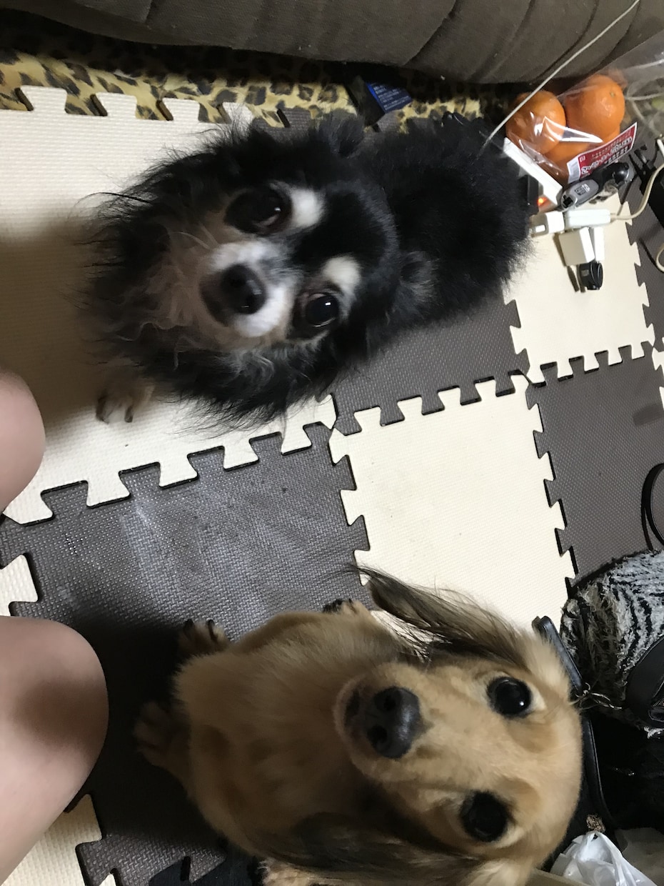暇すぎ無理！誰かぁあ！！･････ここにいます 暇すぎて暇すぎてどうしようもないあなたへ イメージ5