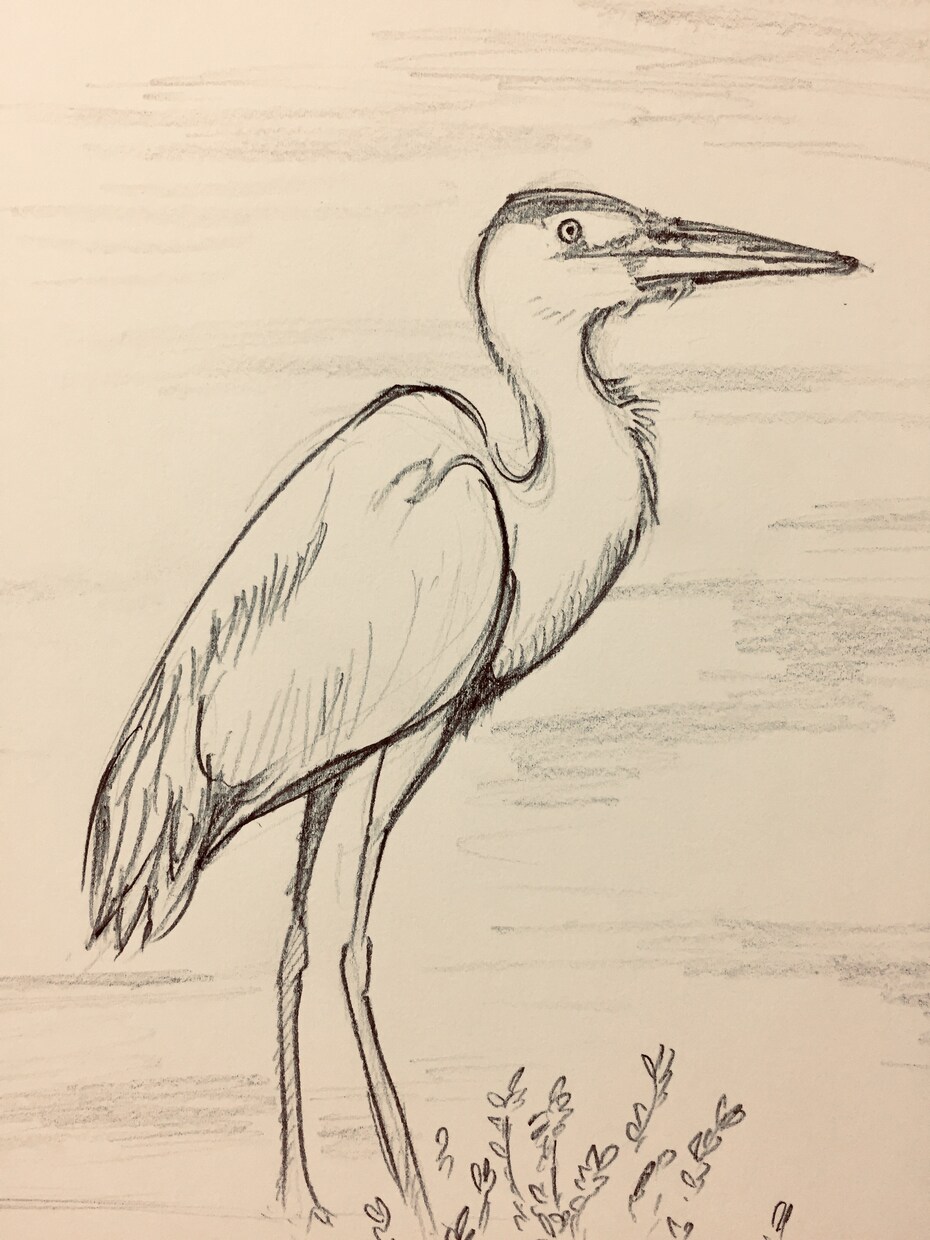 あなたの描いた絵にアドバイスします 絵を描き始めた初心者の方向け。ご相談も受付てます。 イメージ2
