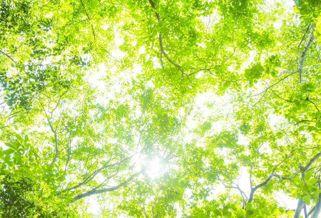 2022年の運気上昇させます 来年1年の運気を上げる為のヒーリングをします イメージ3