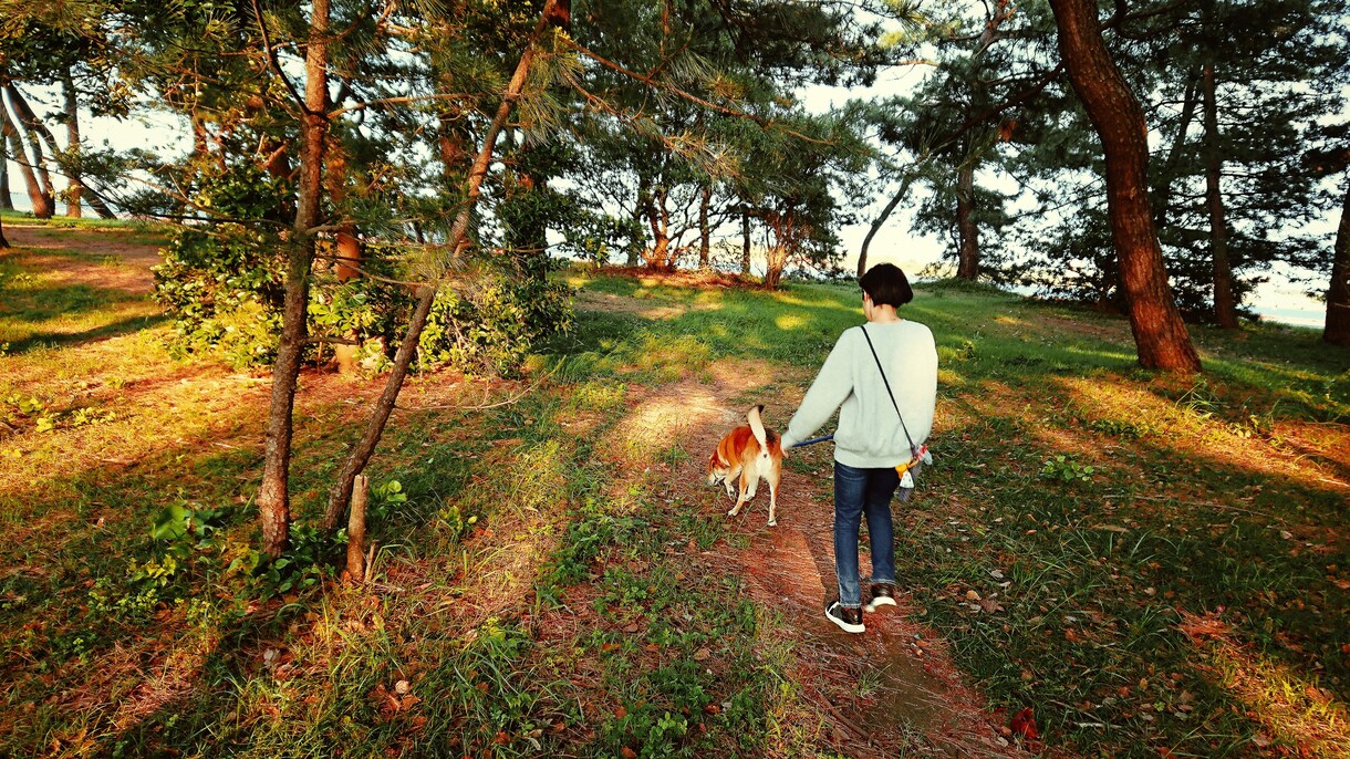 貴方の写真や作品をInstagramでPRします 自分の写真や絵、作品を色々な方にPRしたい方必見！！ イメージ3