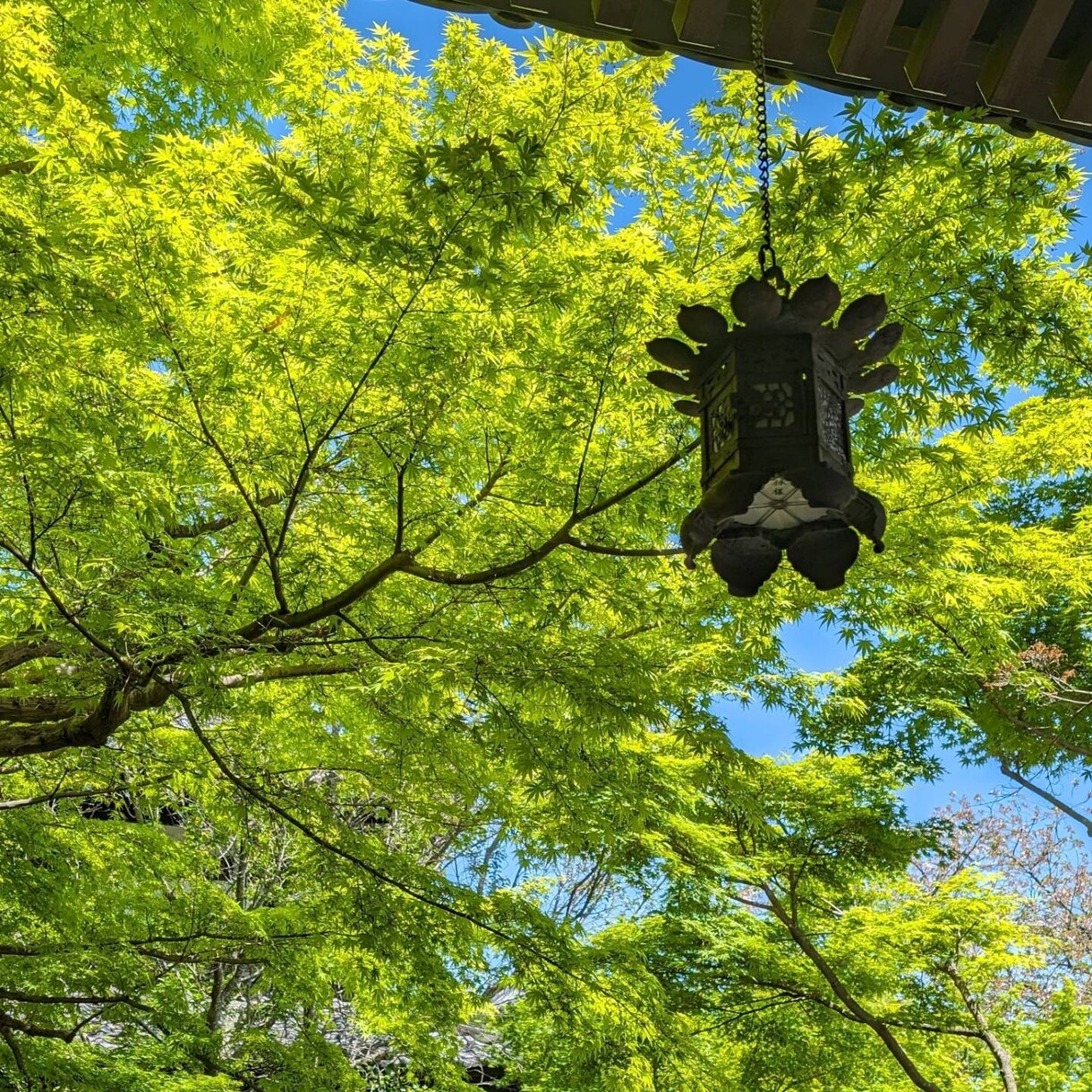 亡くなったあの人の声聞きます 亡くなった大切な人やペットの気持ちお伝えします。 イメージ1