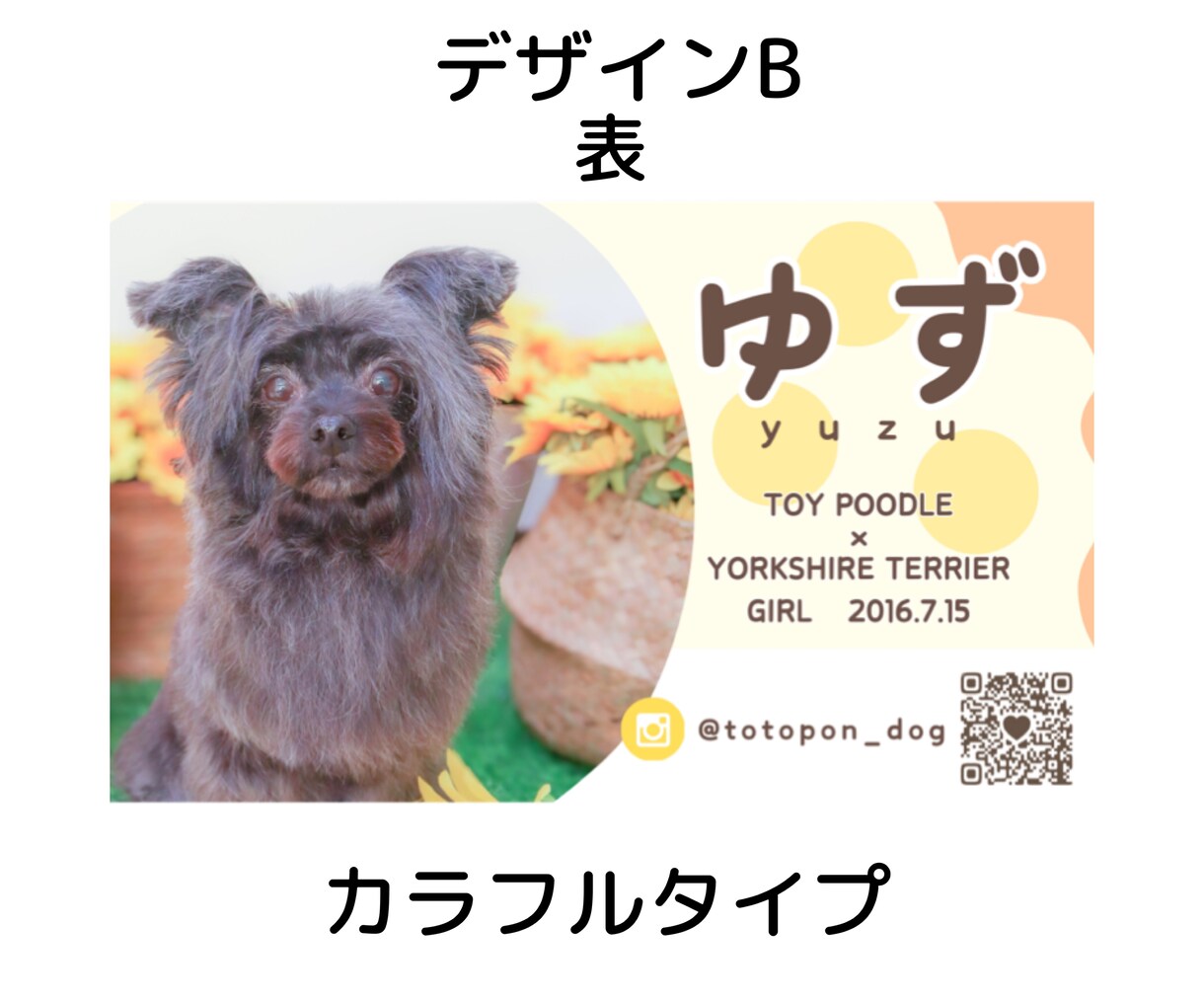 セミオーダー◎【ワンちゃん名刺】作成いたします 100枚セット◎うちの子をアピールするイチオシアイテム！ イメージ4