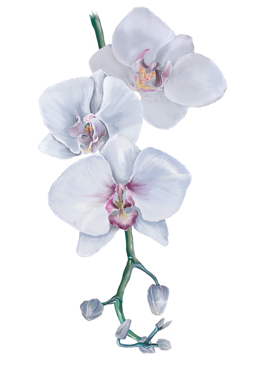 フライヤーやイラストなどの制作を致します 華やかに可憐に花のある華やかな生活と共に✿ イメージ2