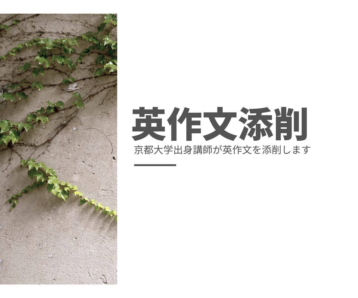 3枠即日対応！大学受験向け英作文を丁寧に添削します 京都大学出身講師が添削いたします イメージ1
