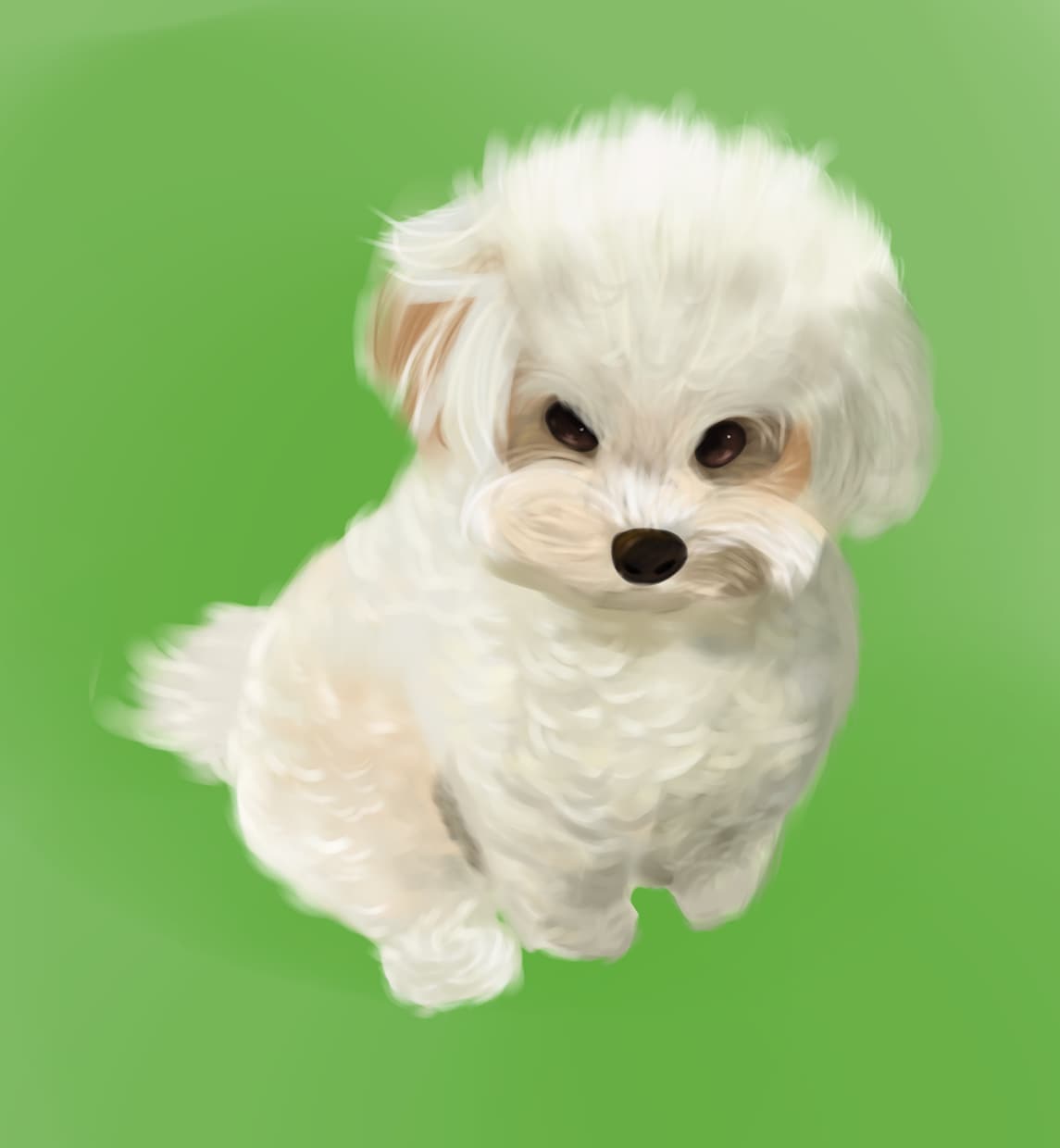 ご自慢のペット・動物イラスト描きます かわいい動物をイラストに！アイコンなどにも！ イメージ1