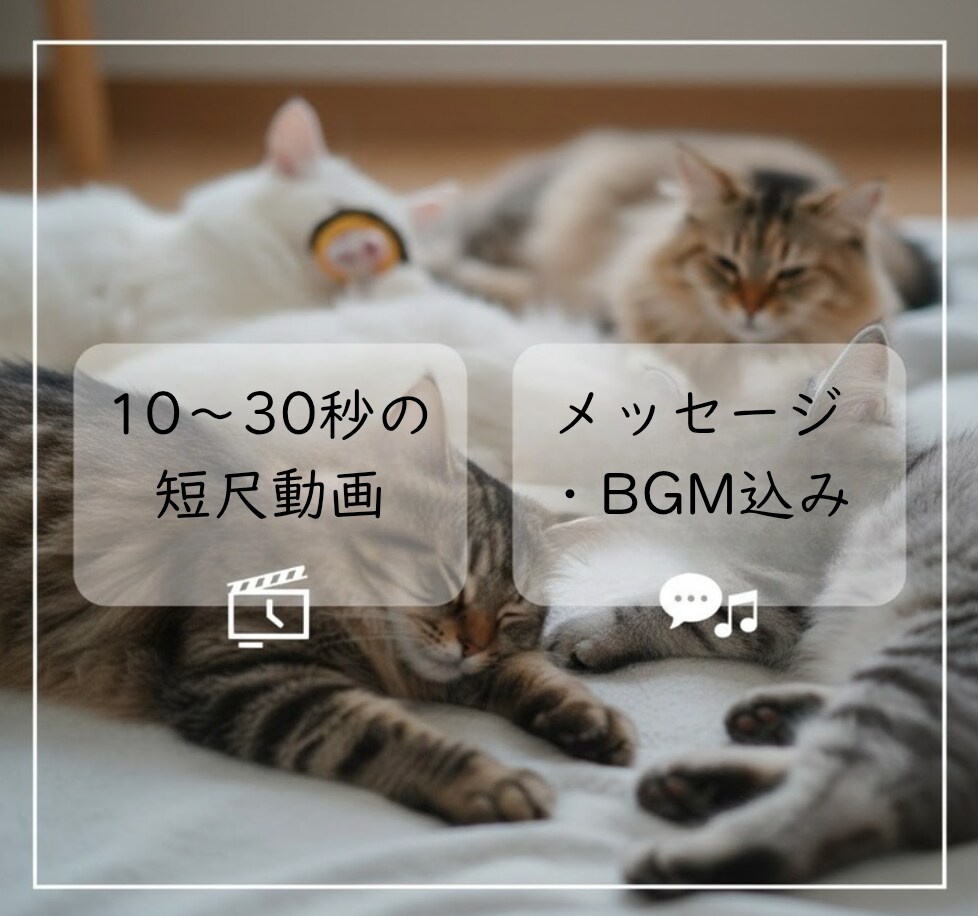写真から虹の橋のあの子と再会する動画を作ります 1枚の写真から亡き最愛のペットの面影が蘇る動画を制作します。 イメージ3