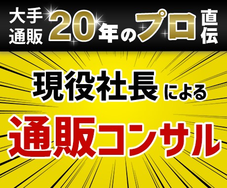 通信販売（オフライン）のお悩みご相談に乗ります 何をしても利益が上がらない通信販売の改善点をサポートします イメージ1