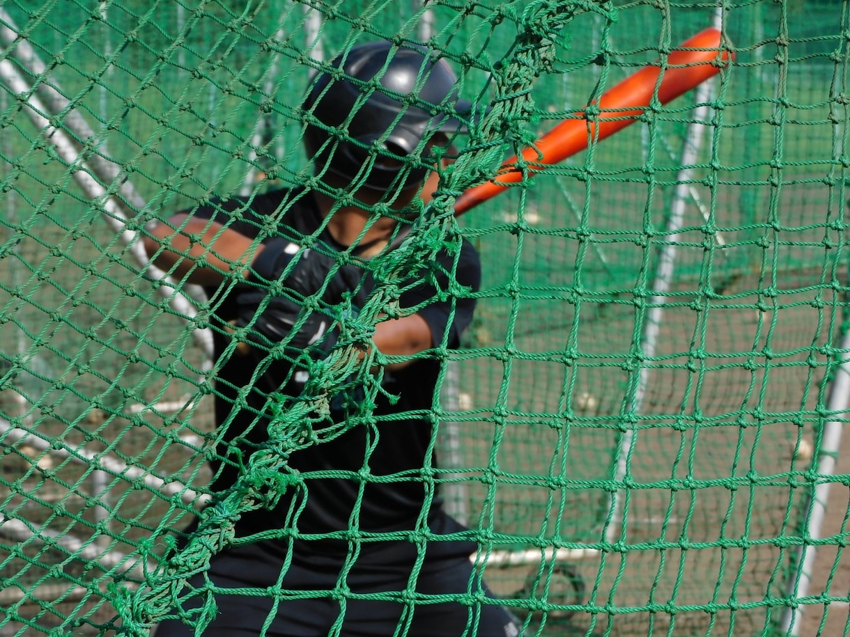 強豪野球部の知識を活かして練習法を提案します 大学野球部の経験で動作改善と成長をサポートします イメージ1