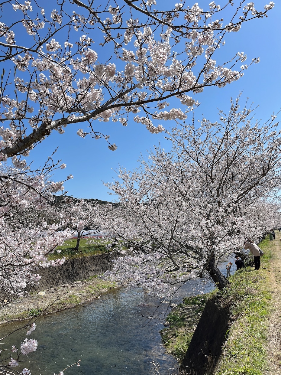 仕事復帰したい！でも不安。相談乗ります 仕事戻るのが怖い、仕事できるか不安、復帰までに体調を整えたい イメージ3