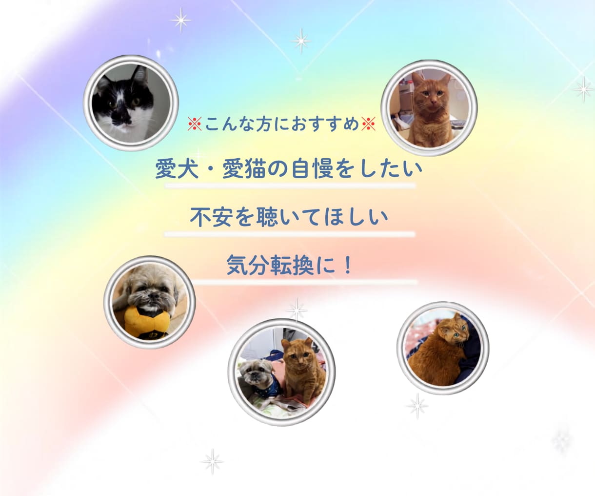 愛犬愛猫を看取った経験者がシニア期の不安聴きます シニア期・介護の不安や本音…一人で抱え込まずお話しください イメージ2