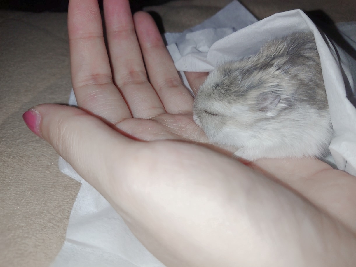 少しだけ話たい…１分でも、あなたのお話聞きます /愚痴/話たい/寂しいなど、年齢・性別関係なく、お気軽に☆ イメージ2