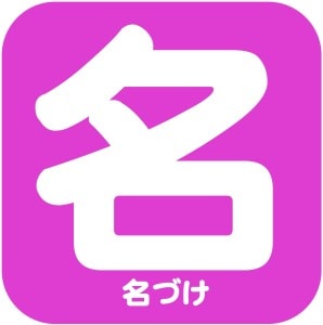 SNSでの名、漫画や小説キャラ名、複数ご提案します キャラの名前、SNSで使う名前（区別名）考えます イメージ1