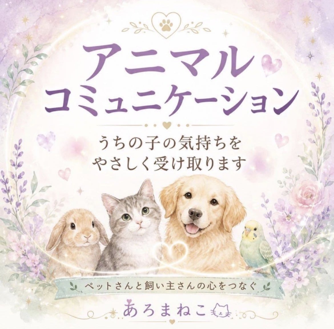 ペットさんとお話しします ペットさんからのメッセージをお届けします イメージ2