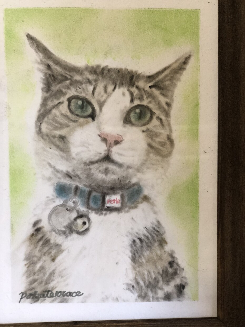 写真を元に動物の顔の似顔絵を描きます パステルアートで描くので柔らかく温かみのある似顔絵です。 イメージ3