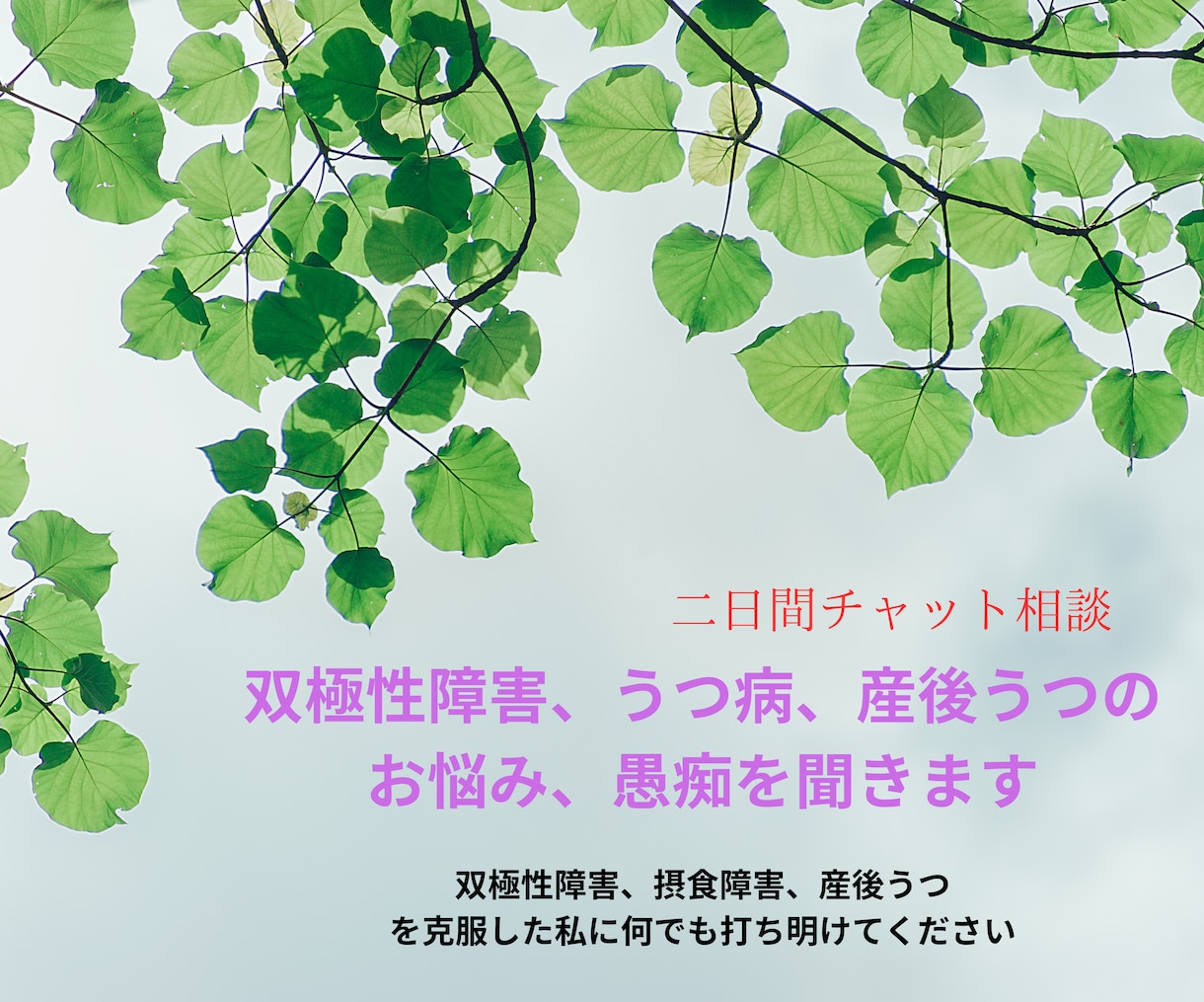 双極性障害、うつ病、産後うつのお悩み愚痴を聞きます 双極性障害と摂食障害を克服した私に何でも打ち明けてください イメージ1