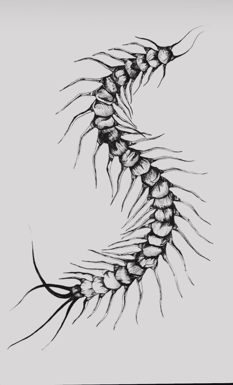 あなたの想いを線に込めて表現します タトゥー経験を活かした繊細アート イメージ2