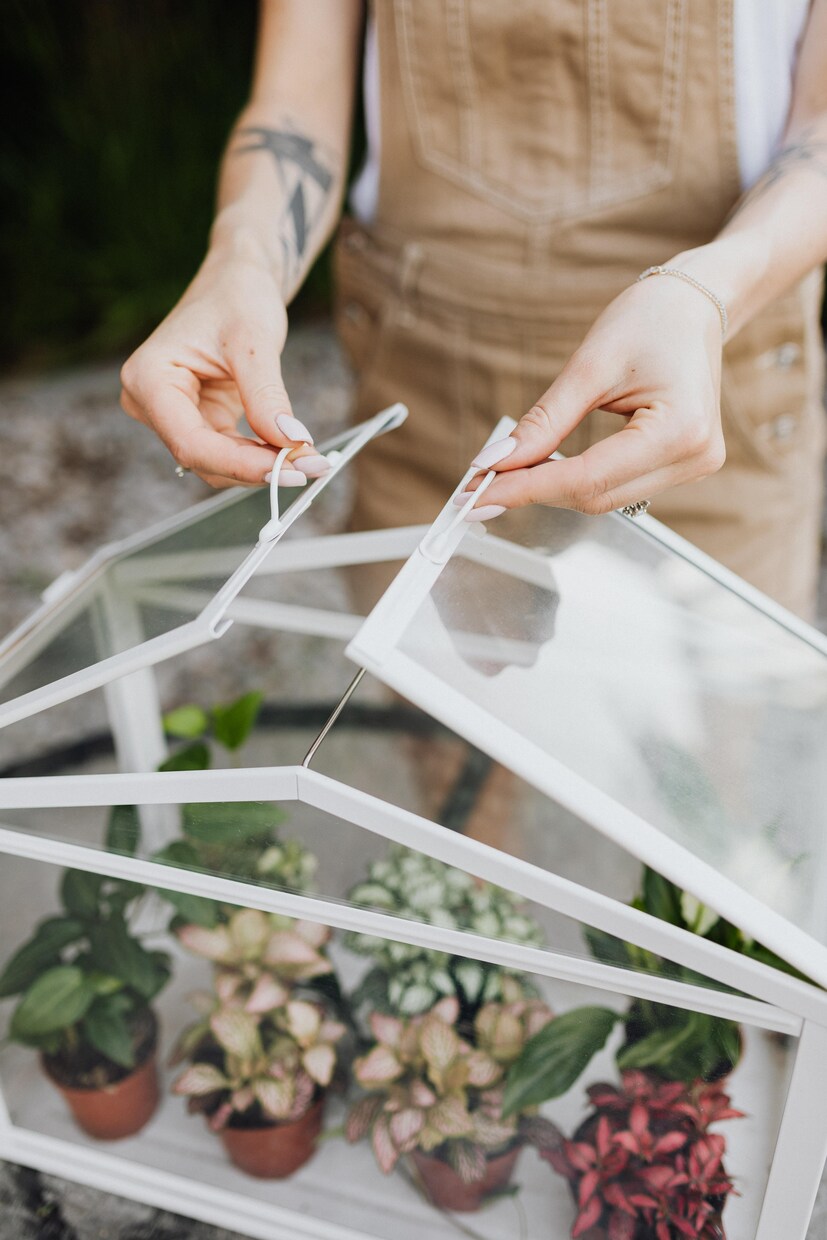 植物の話、します 植物好きな方、お話ししましょ！ イメージ3