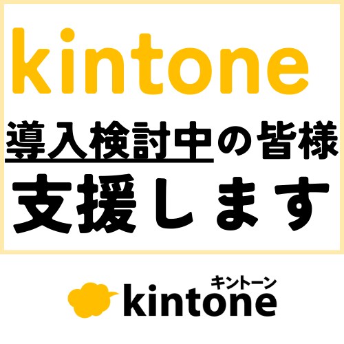 kintoneの導入検討をサポートします 資格取得者がビデオチャットでkintoneのお悩みを解決！ イメージ1