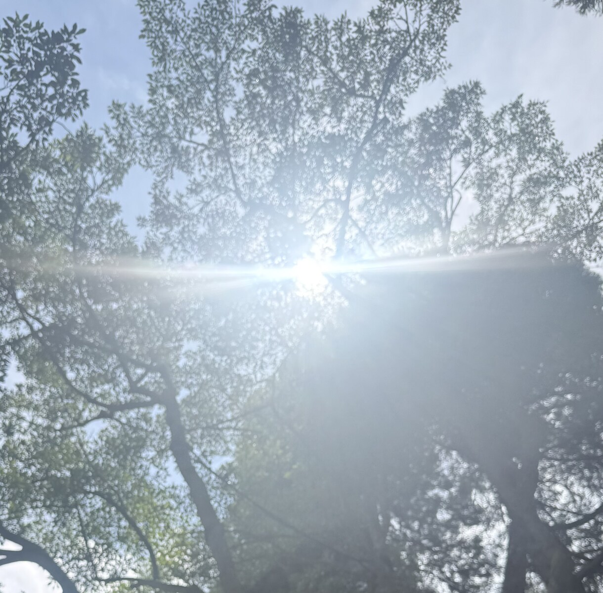 お相手のお気持ち拝見します ⭐︎今の状態を打破するために必要なことをお伝えします イメージ1