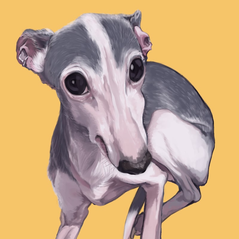 愛犬・ペットのイラストを制作いたします あなたのペットのイラストをアイコンや壁紙に！ イメージ2