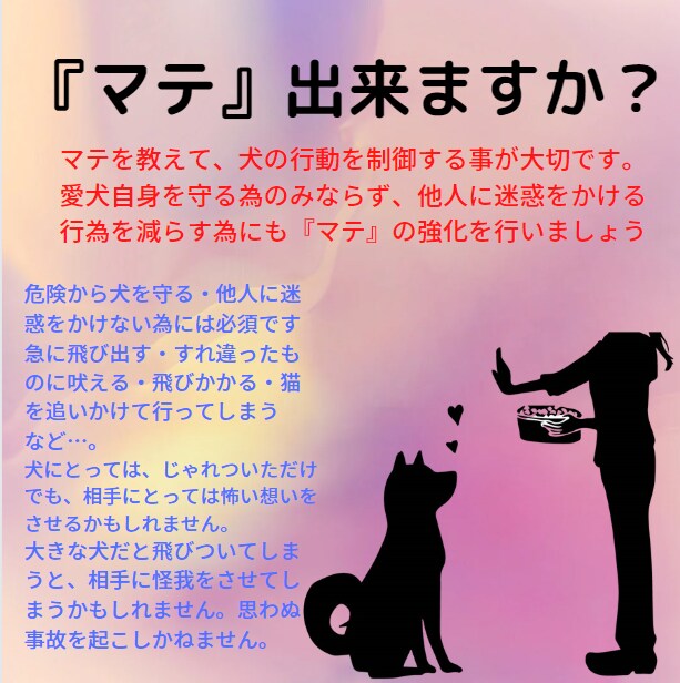犬の問題行動相談にのります 個性重視でワンちゃんに合わせた方法で改善を イメージ4