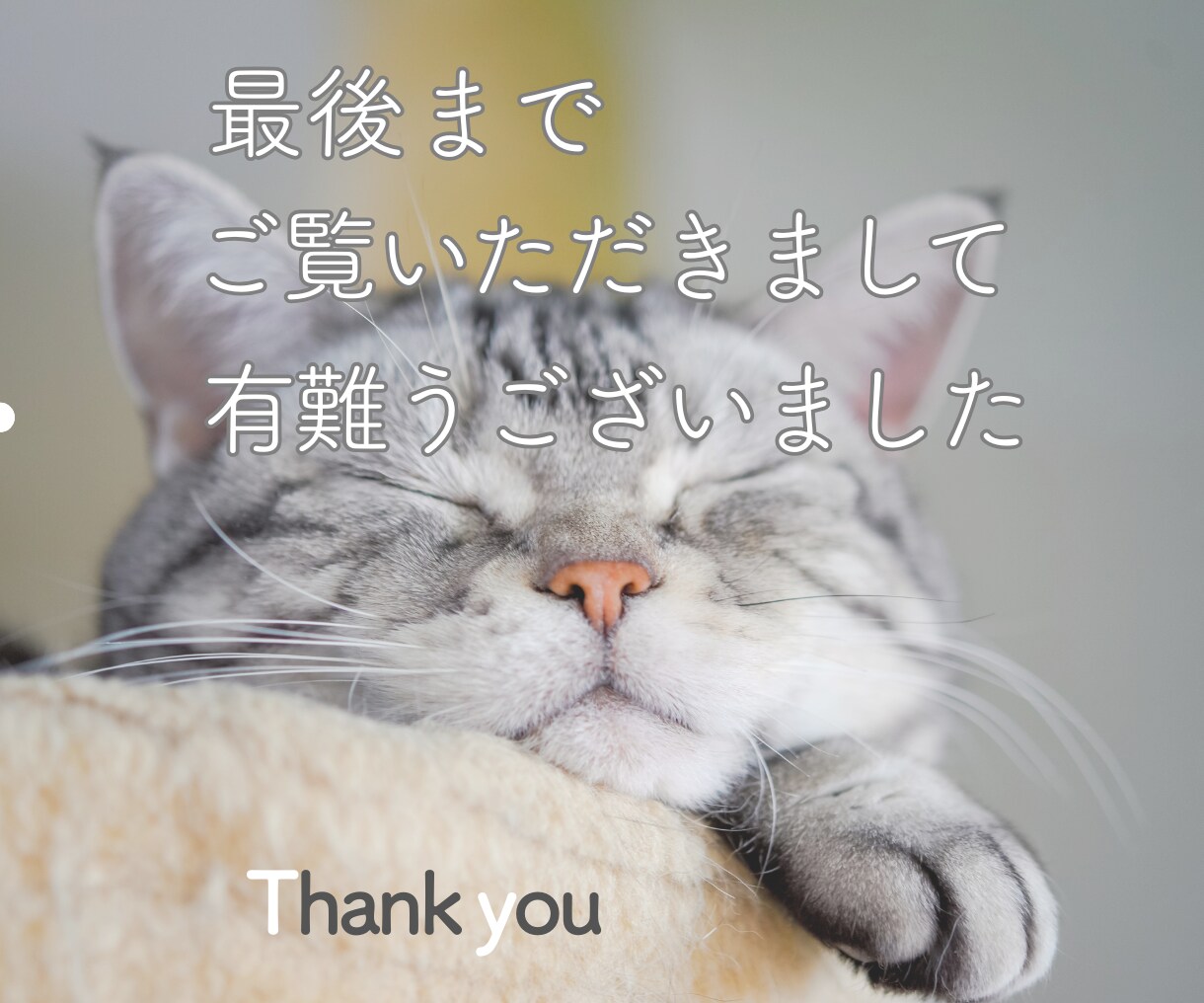 Instagramの投稿画像製作お手伝いいたします 女性目線でリーズナブル♪にタップしたくなる画像を製作します。 イメージ10