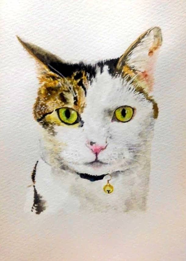 データ配送⚠大切な可愛い愛猫の似顔絵お描き致します 猫ちゃんの誕生日・天国の猫ちゃんに・猫ちゃんを絵にしたい方へ イメージ2