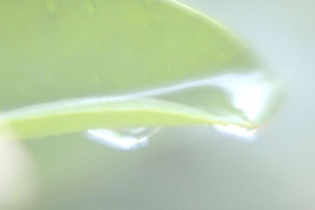 あなたが主役の大人のデートを書きます パートナーや憧れの人との大人デートをオリジナルで書き上げます イメージ1