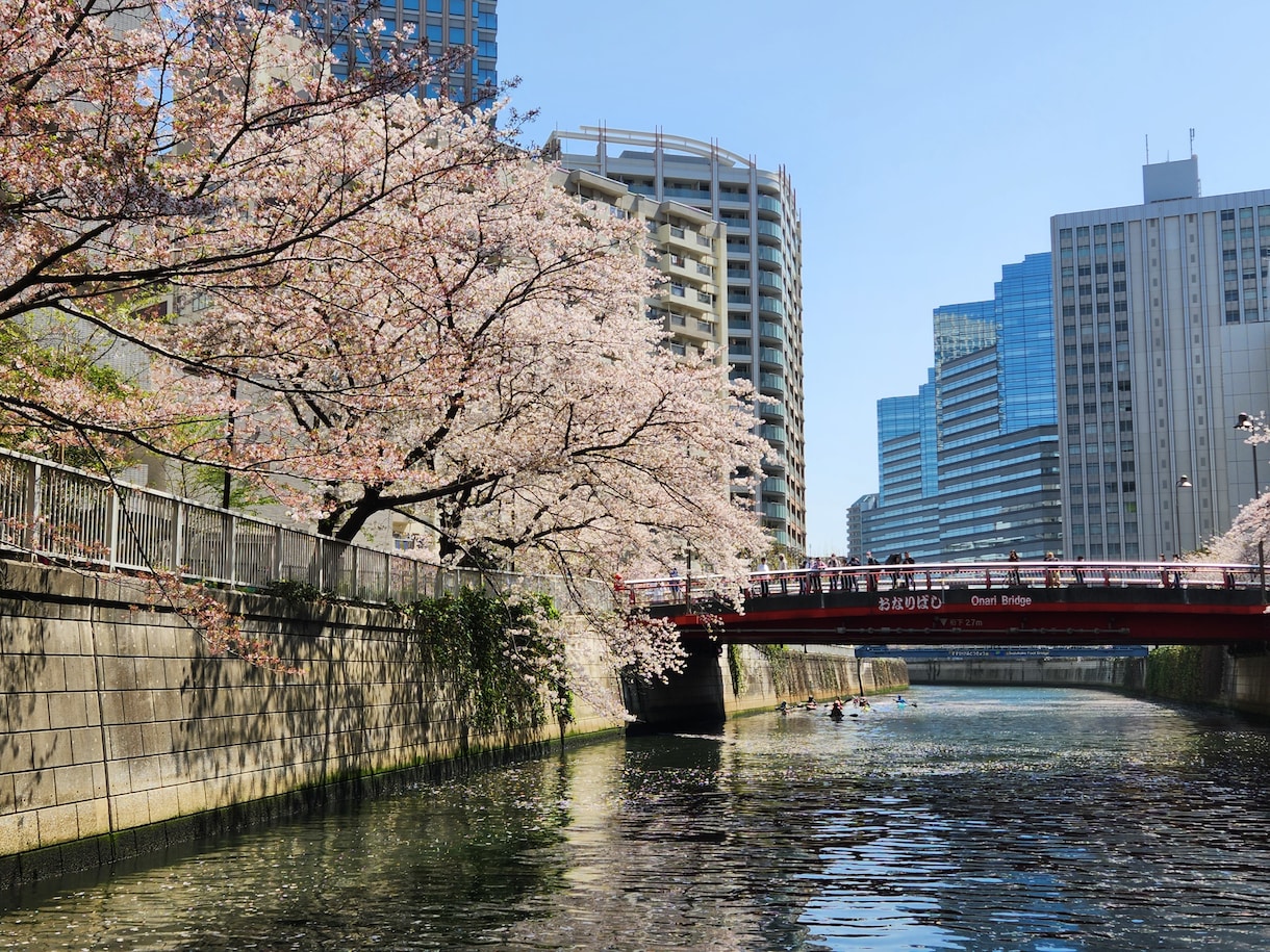 旅行・観光体験事業の造成！OTA掲載ご相談承ります やりたいことへの課題とアクションを明確にした回答を行います！ イメージ2