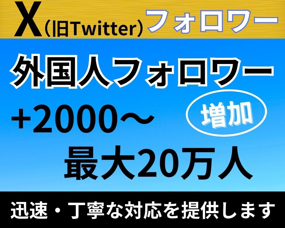 X・旧Twitterの外国人フォロワーを増加します 減少率10%未満！Xフォロワー2000増加！30日減少保証！ イメージ1