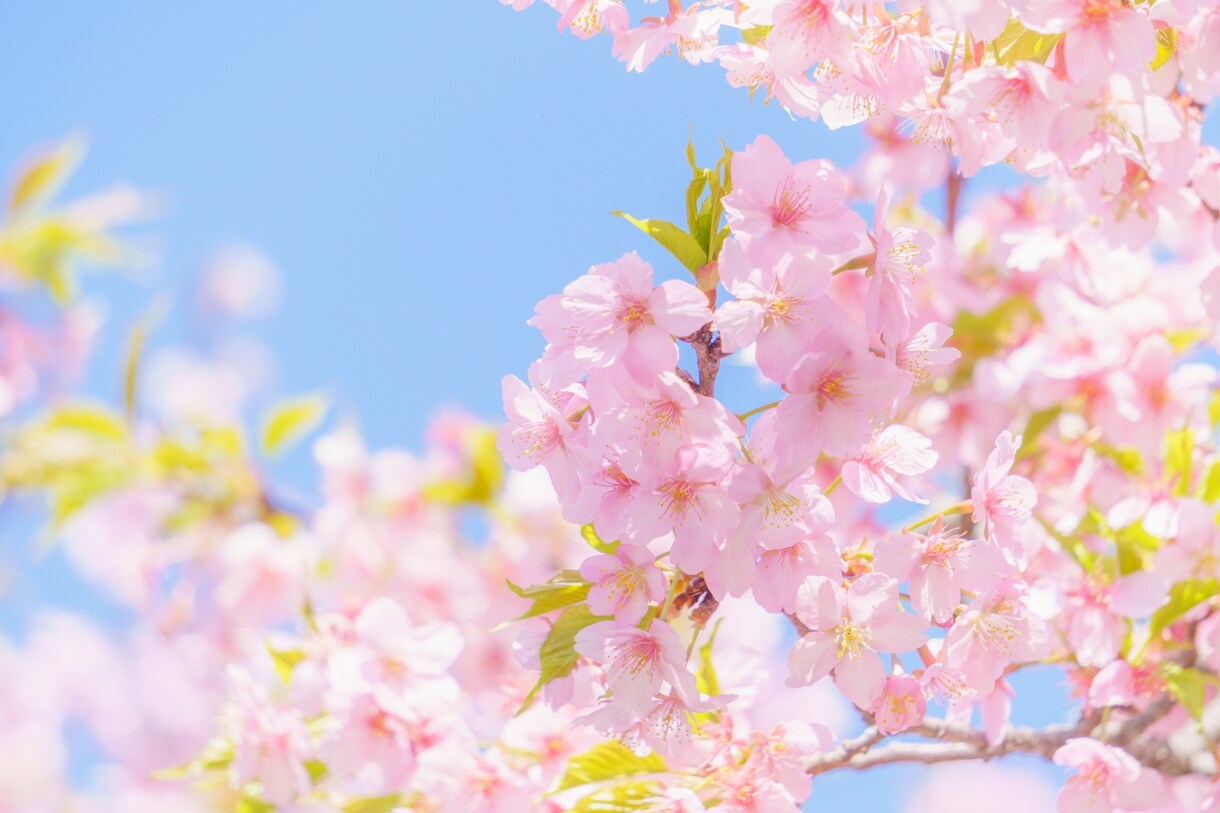 今すぐ誰かに聞いてほしい！私がそっと受け止めます 毎日の喜怒哀楽をお気軽にお聞かせください♪ イメージ5