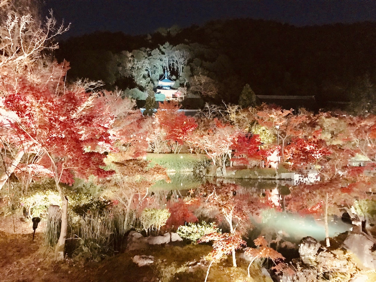 恋愛の悩み全てをプロの占い師が心を込めて占います AIが出せない答えが聞ける。どうすればいいか答えを教えます イメージ6