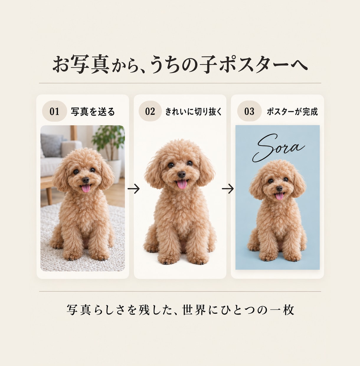 ペット写真をおしゃれな名前入りポスターにします 3書体×12色から選べる、うちの子だけの一枚 イメージ1