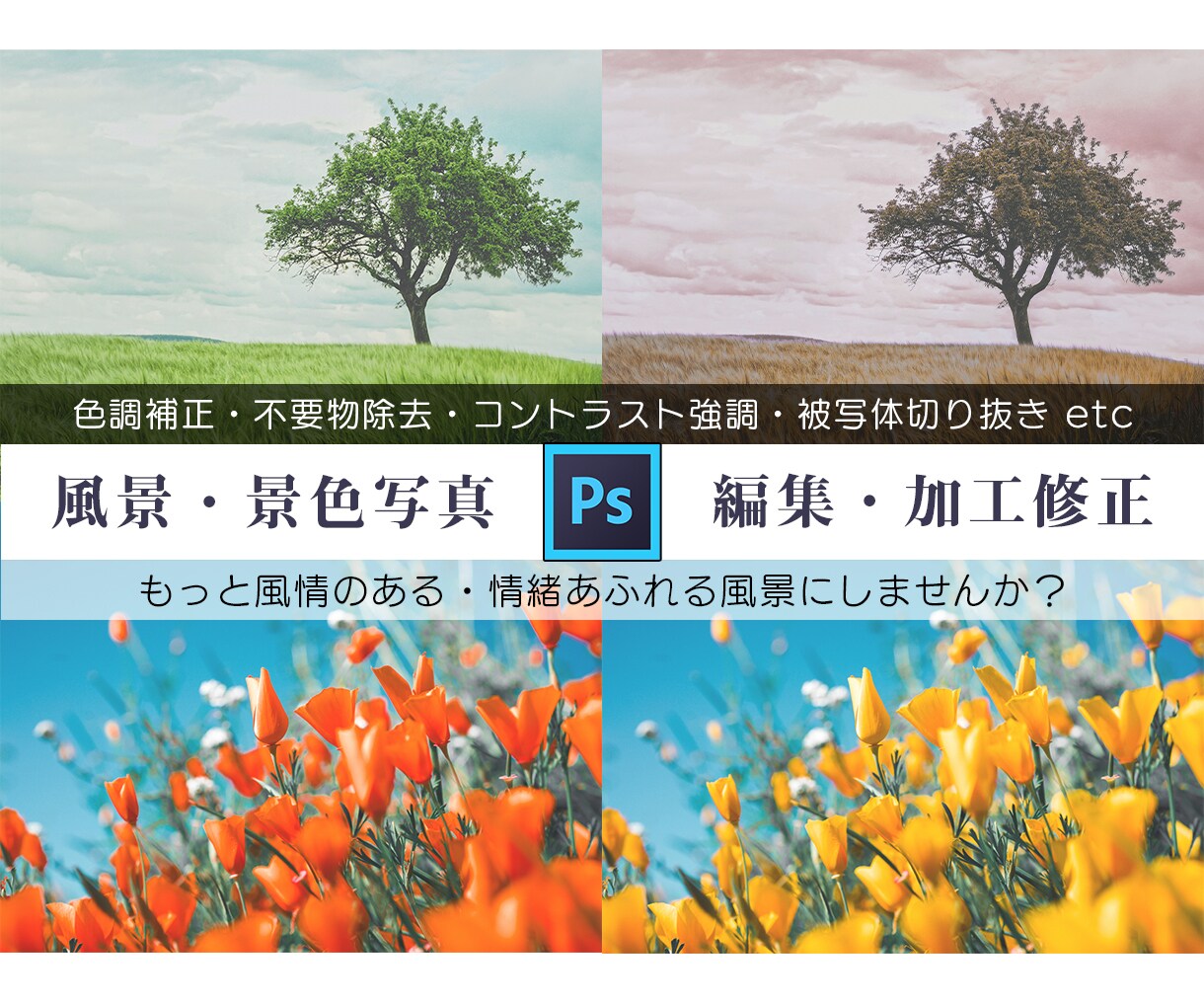 風景レタッチ♪不要物除去・色調補正・修正を承ります 雰囲気のある1枚に♪修正・加工・補正・不要物除去はお任せ♪ イメージ1