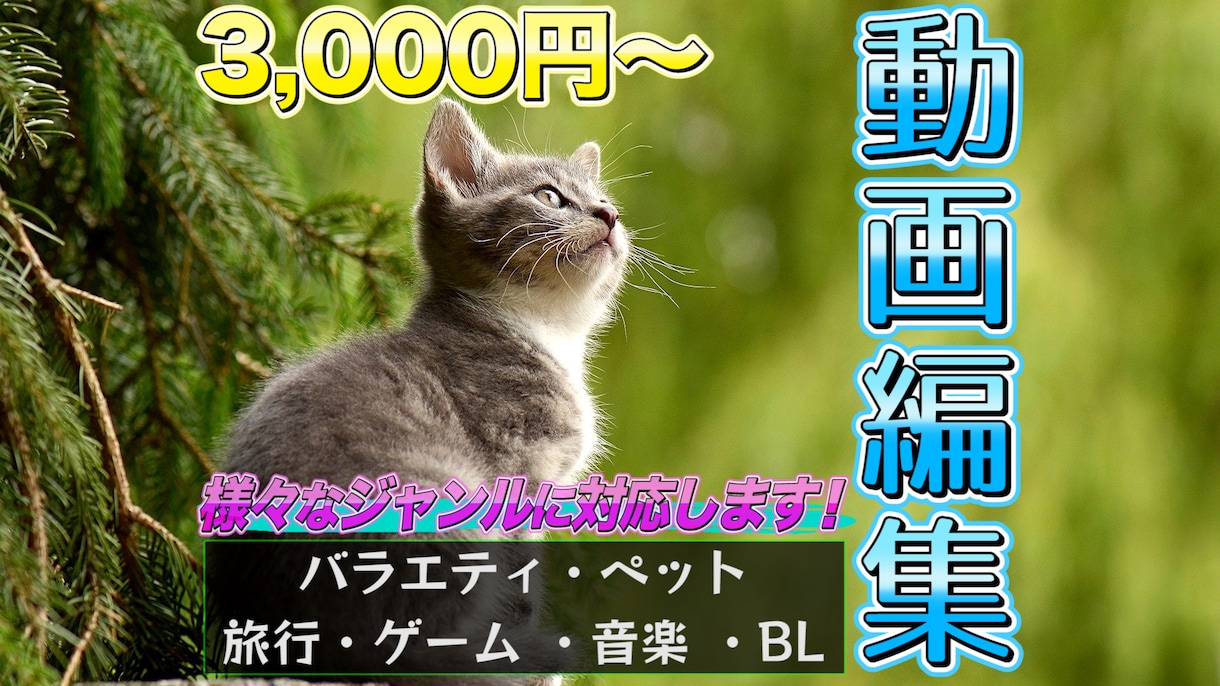 実績獲得セール中!! 動画編集 承ります YouTube等 ご要望に合わせ様々なジャンルに対応します！ イメージ1