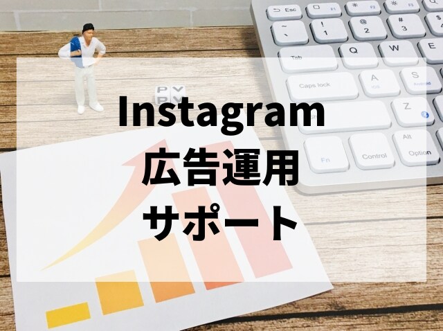 丸投げOK,Instagram広告運用代行します 目的(集客、売上)に沿った、広告成果最大化 イメージ1