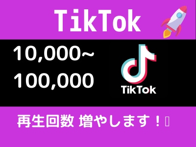 💬ココナラ｜TikTokの再生回数を格安水準で増やします   Digital Nerd【SNSマーケ】  
                4.8
  …