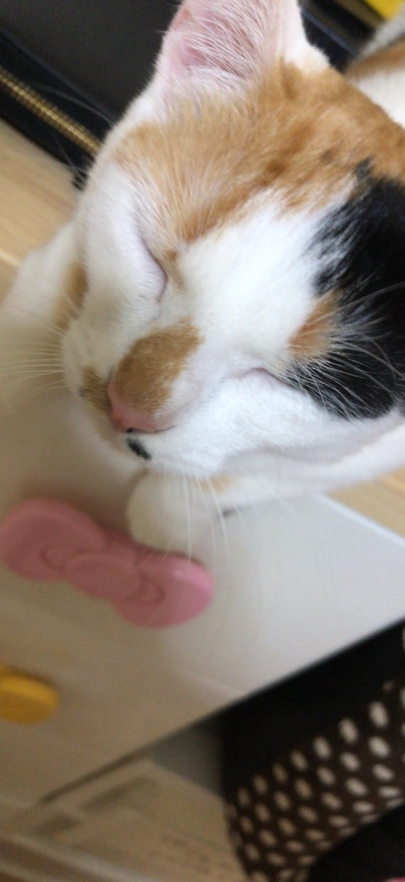 貴方を悩ます恋の悩み恋愛成就手伝います 誰にも話せない恋の悩み吐き出して★ イメージ1