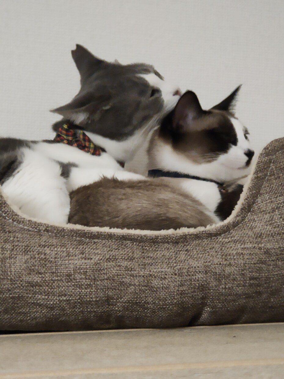 心の監査人。1分でも愚痴、悩みお聞きします 心の監査人。短時間でもお気軽に。1分でも喜んで。 イメージ1
